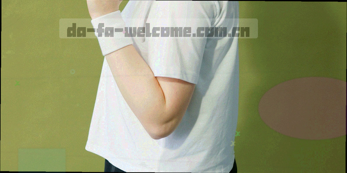 深墨蓝底上的精密网格、条款编号标签与细线边框组成的档案视觉，无人物